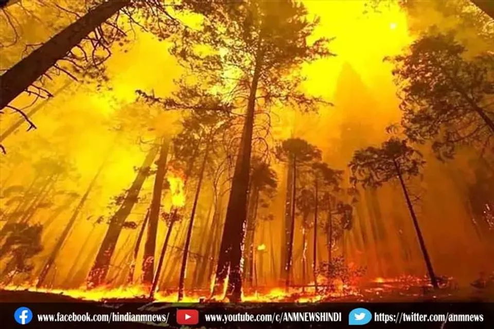 अल्जीरिया में आग में 18 सैनिकों की मौत, 13 घायल