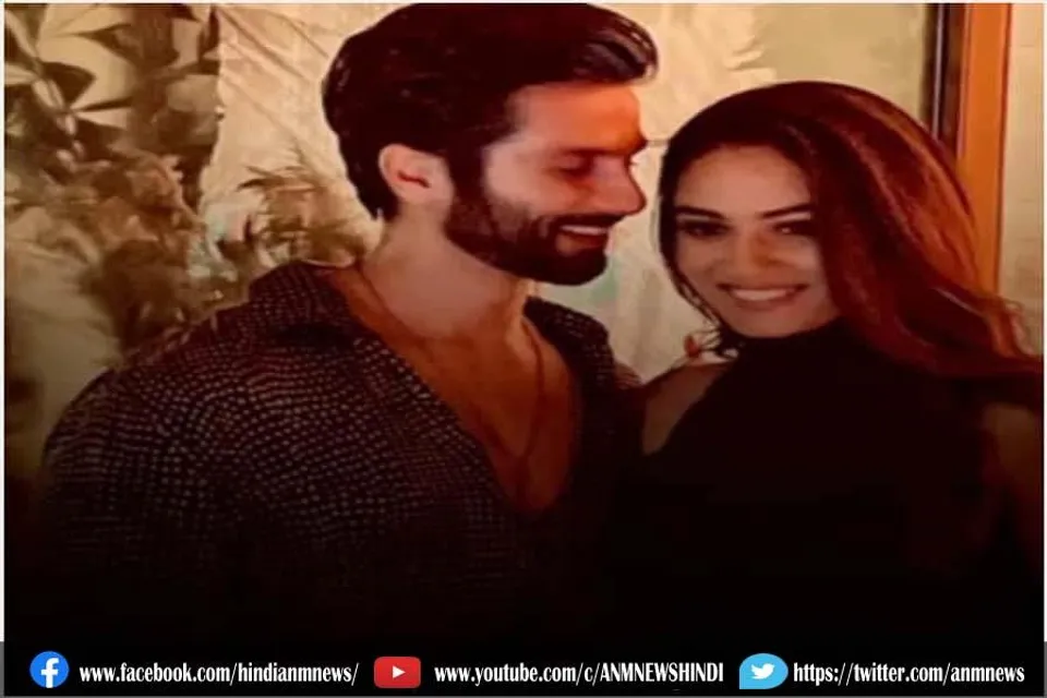 शाहिद कपूर ने मीरा के लिए रखी खास बर्थडे पार्टी