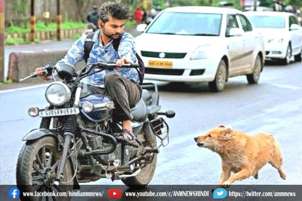 मोटरसाइकिल चलाते वक्त दौड़ते हुए भोंकने वाले कुत्ते से बचने का रास्ता