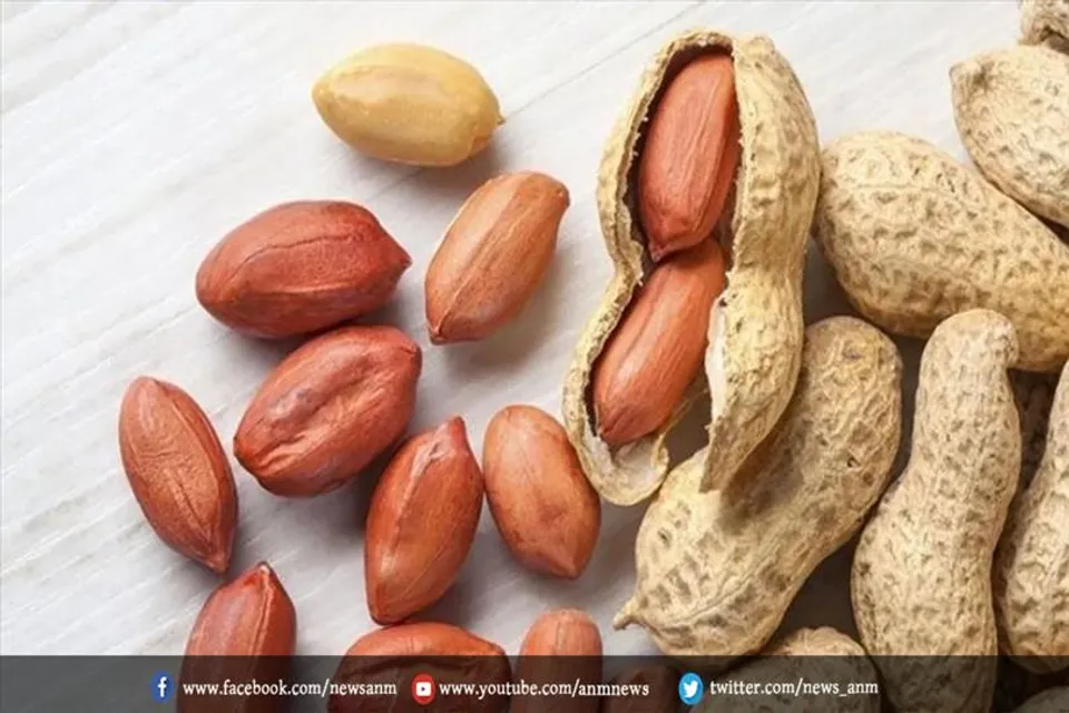 मूंगफली दाने ज्यादा सेवन से होंगे ये 5 नुकसान