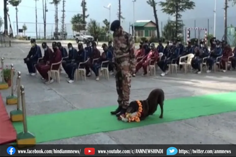 आईटीबीपी के स्निफर डॉग को शानदार तरीके से किया रिटायरमेन्ट