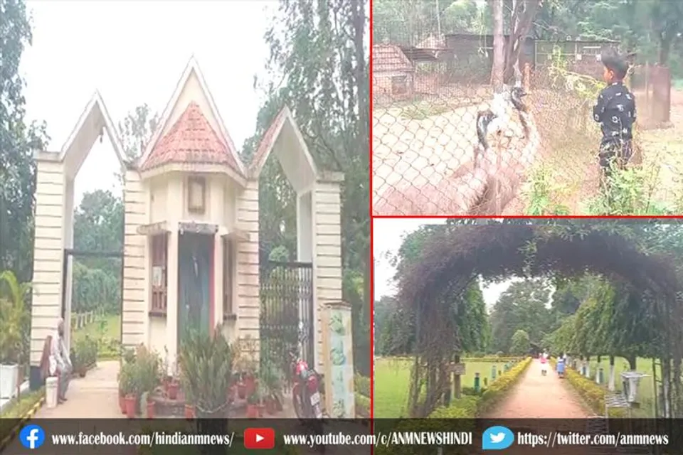 फिर गुलजार होने लगा नेहरू पार्क