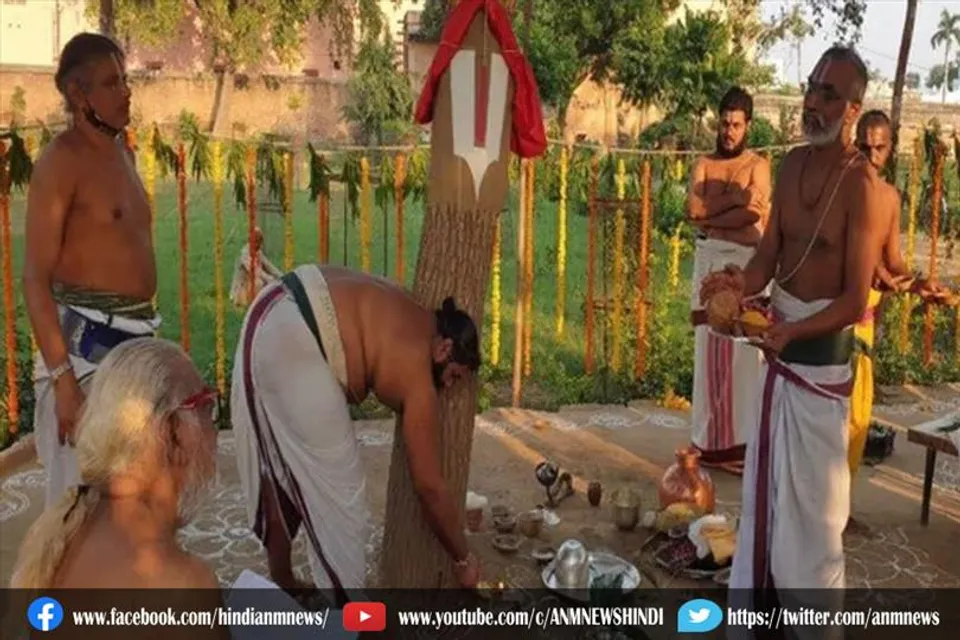 हरियाली अमावस्या तिथि को क्यों माना जाता है विशेष तिथि ?