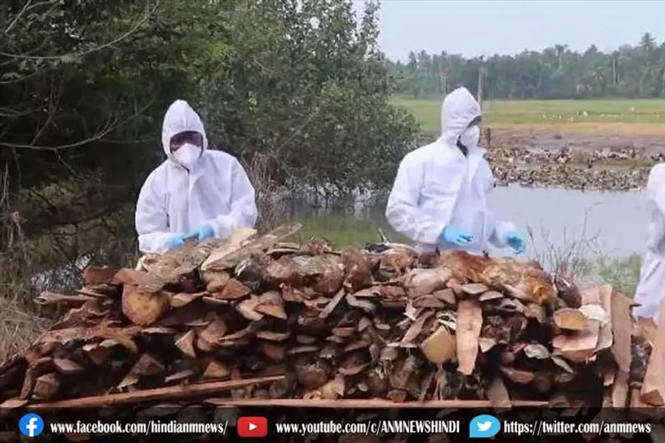 केरल में बढ़ा बर्ड फ्लू का खतरा
