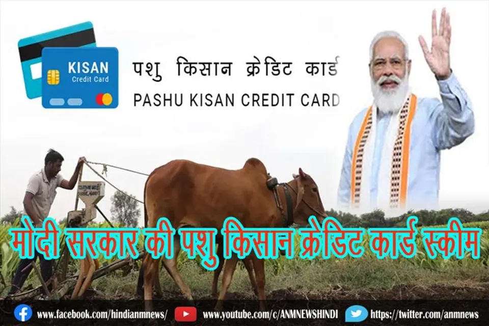 मोदी सरकार की पशु किसान क्रेडिट कार्ड स्कीम