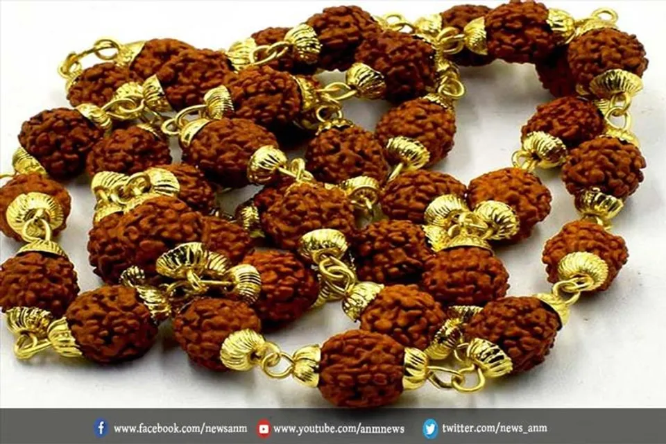 जानिए रुद्राक्ष पहनने के नियम