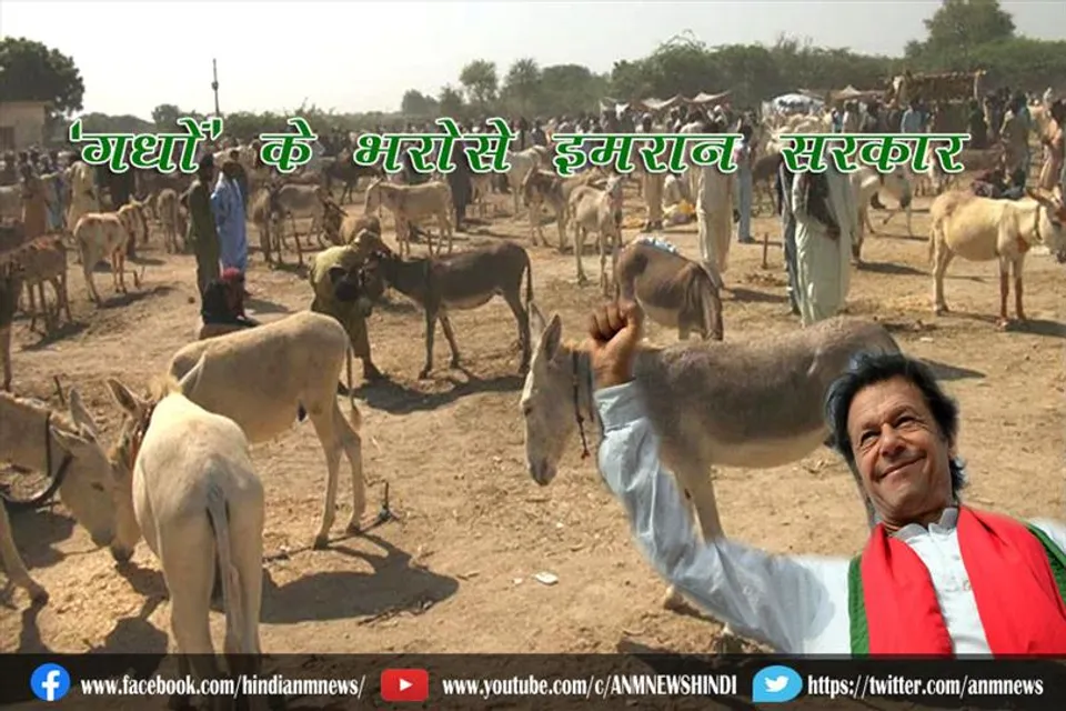 "गधों" के भरोसे इमरान खान की सरकार