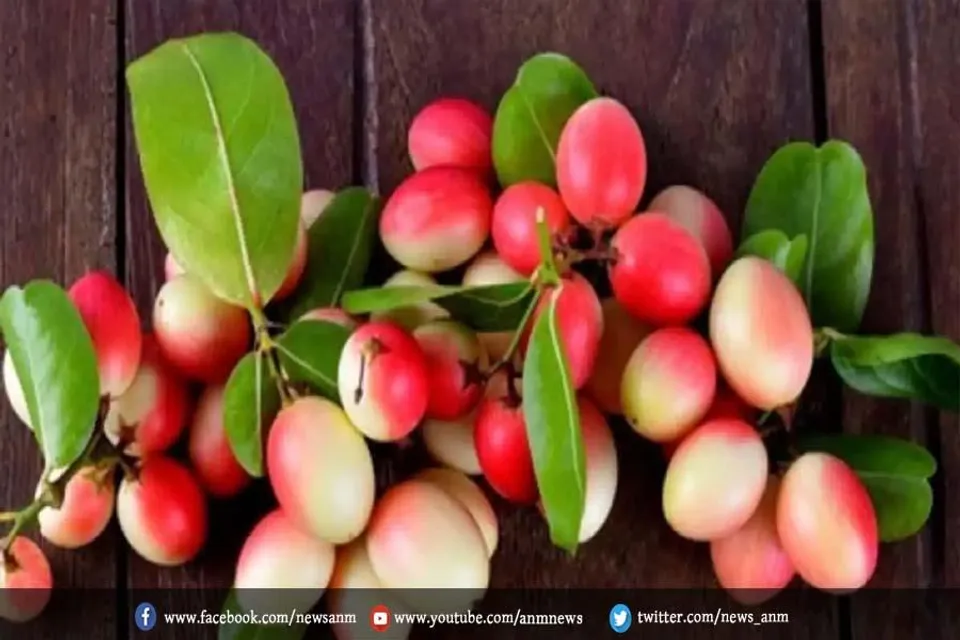 करौंदे को अपनी डाइट में करें शामिल