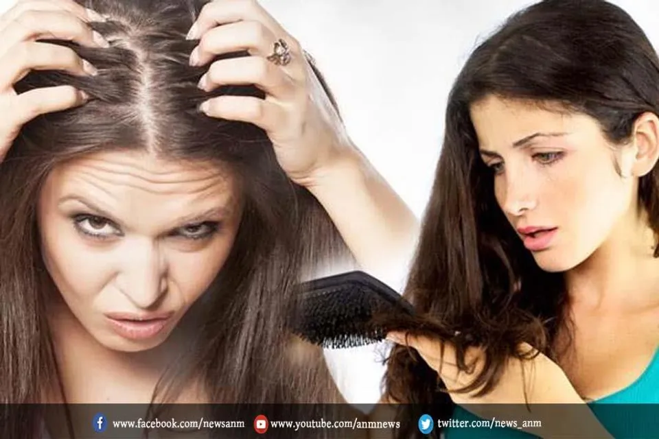 झड़ते बालों से छुटकारा दिलाएगा ये होममेड ऑयल