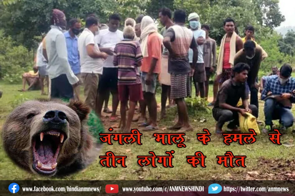 जंगली भालू के हमले से तीन लोगों की मौत