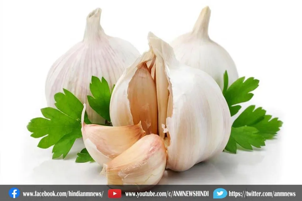 रोज सुबह खाली पेट लहसुन का सेवन करें