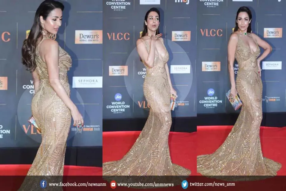 ट्रांसपैरेंट ड्रेस पहनकर नजर आईं मलाइका अरोड़ा