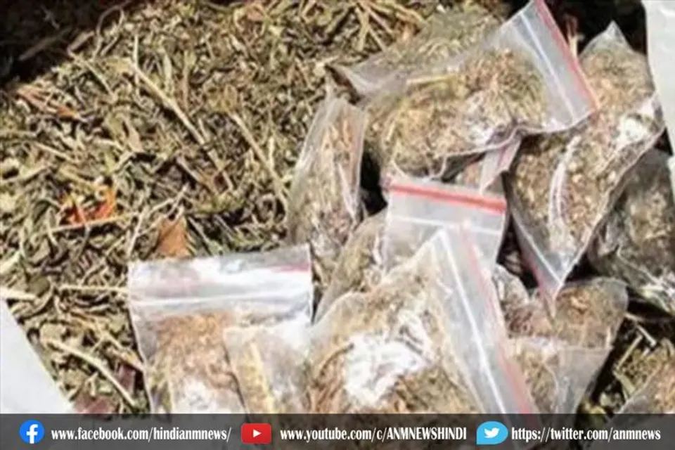 ऑनलाइन गांजा बिक्री मामला