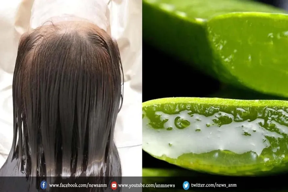 रफ बालों के लिए लगाएं ये हेयर मास्क