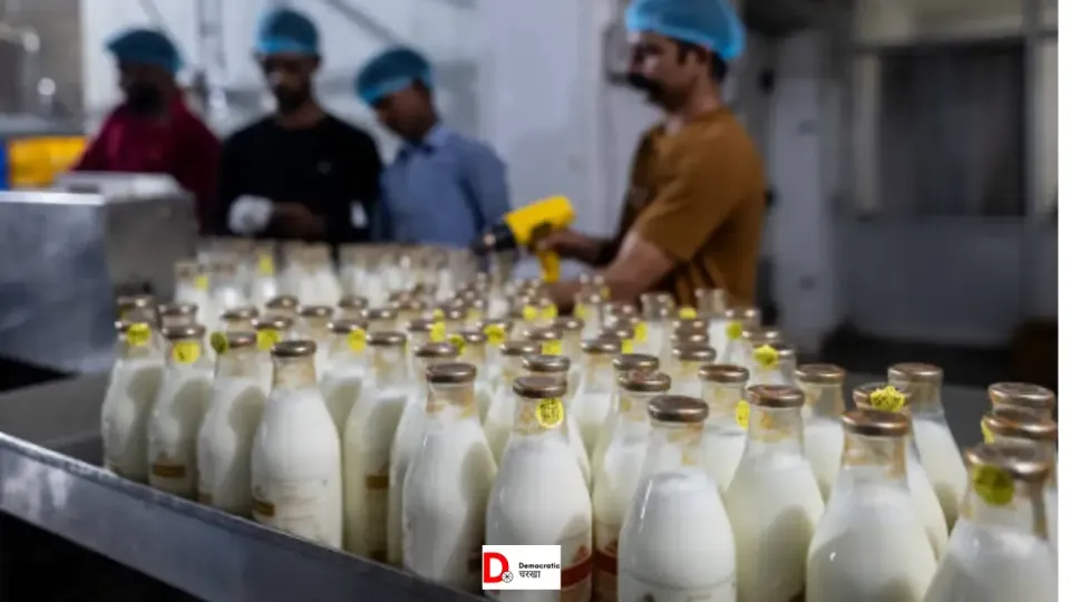मिल्क फेडरेशन