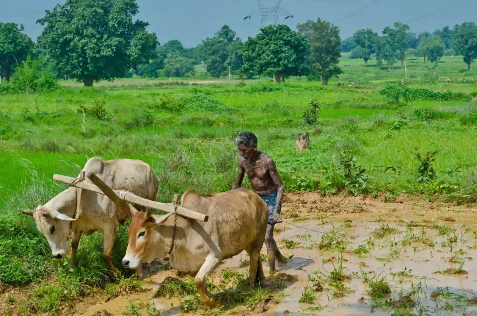 कृषि यांत्रिकीकरण योजना सिर्फ़ कागज़ों में ही सफ़ल