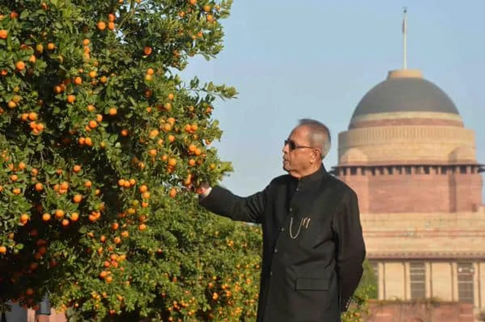 Pranab Mukherjee Inaugurates Jakson Solar Power Plant at Rashtrapati Bhawan