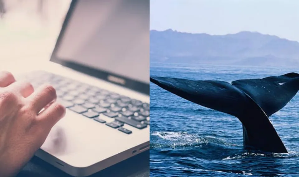 Karnataka's way to beat Blue Whale Challenge