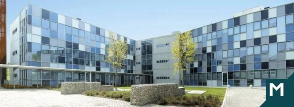 Maccaferri Environmental Solutions Recognised as Great Place To Work