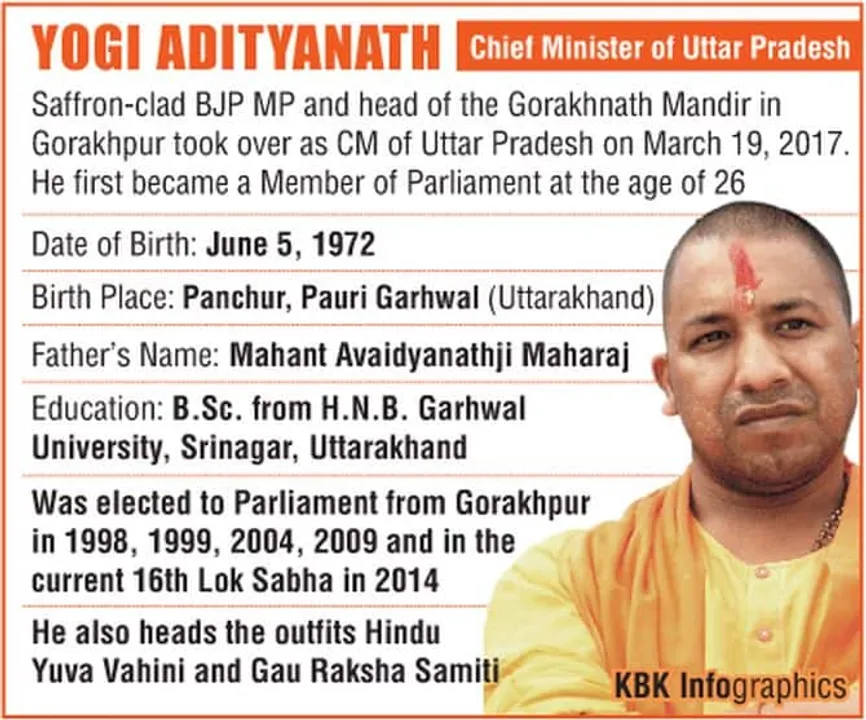 Thumbs Up to Yogi from UP Partners