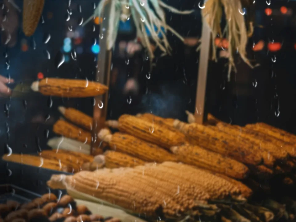 The Flavours Of Rain