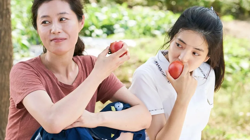 ELLE Gourmet Banner (7)