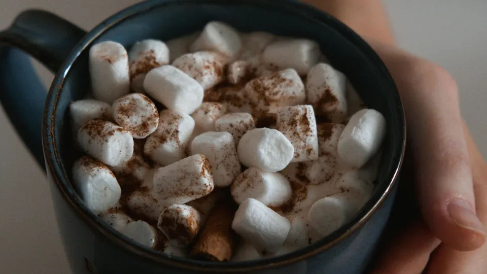 ELLE Gourmet Banner (16)