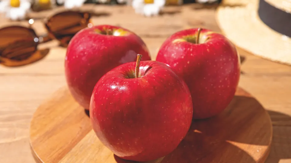 ELLE Gourmet Banner (55)