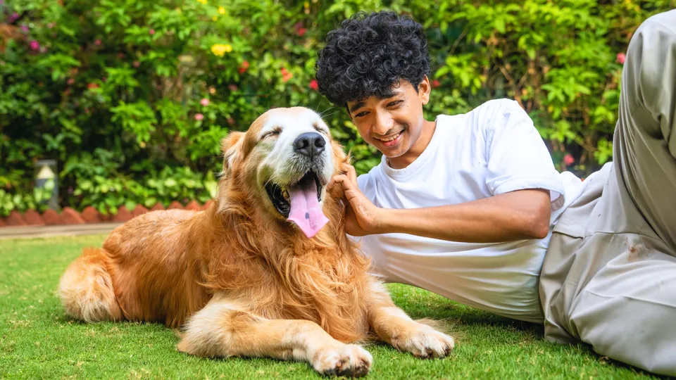 Feature - Publive - 2025-12-18T151952.815