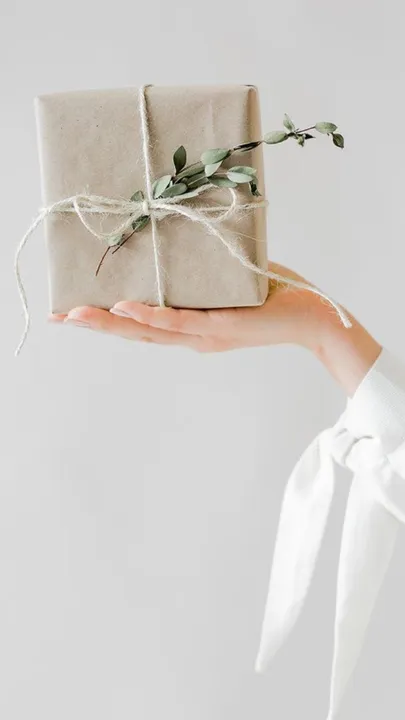 Image Resize Web Story