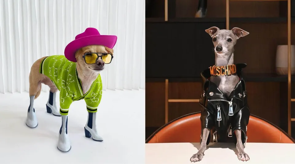 new size pets