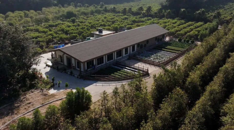 Inside Vantara, The World's Biggest Animal Rehabilitation Centre