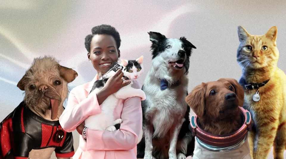 10 Times These Adorable 'Pup-Stars' Stole The Limelight On Our Film Screens
