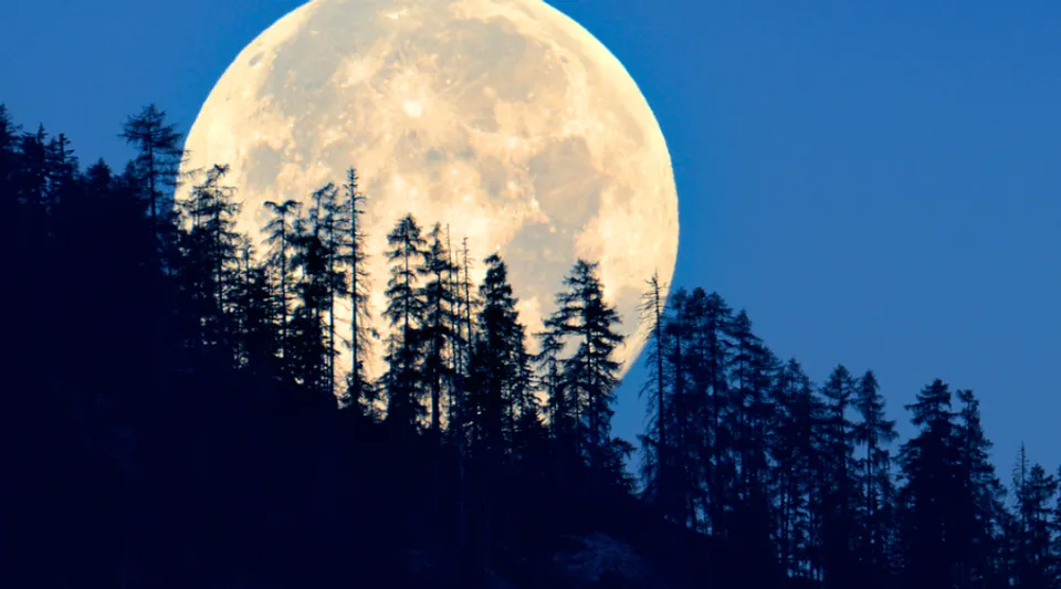 It’s Supermoon Season. What’s In Store For The Next Four Full Moons