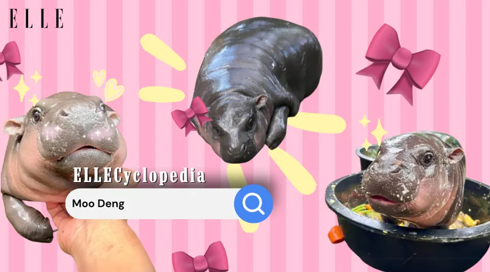 ELLECyclopedia: Meet Moo Deng, The Pygmy Hippopotamus Cooking Up A Storm On The Internet (In The Cutest Way Possible)