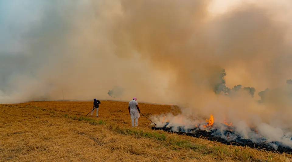 Films You Cannot Miss At ALT EFF 2024