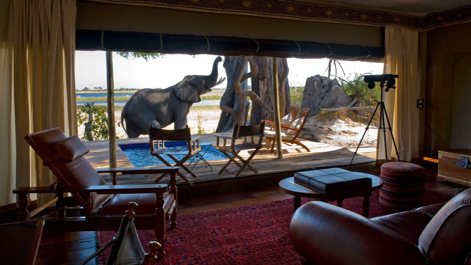 A luxury safari experience framed by conservation and restraint, highlighting how responsible luxury tourism balances access, ecology and impact