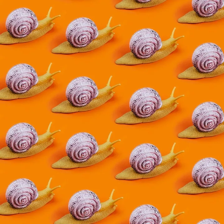 Is snail slime really the ultimate anti-ageing, anti-acne ingredient?