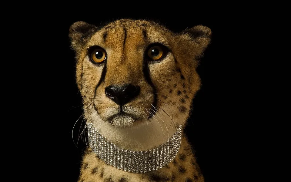 Should you buy fine jewellery online?