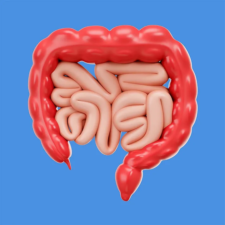 8 gut health-improving practices that have Ayurvedaâ€™s stamp of approval