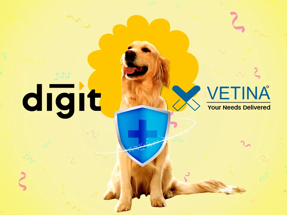  Digit pet insurance and Vetina Healthcare.jpg