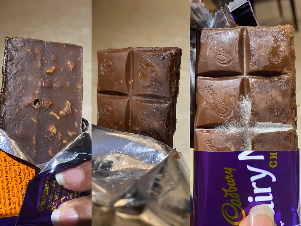 cadbury fungus