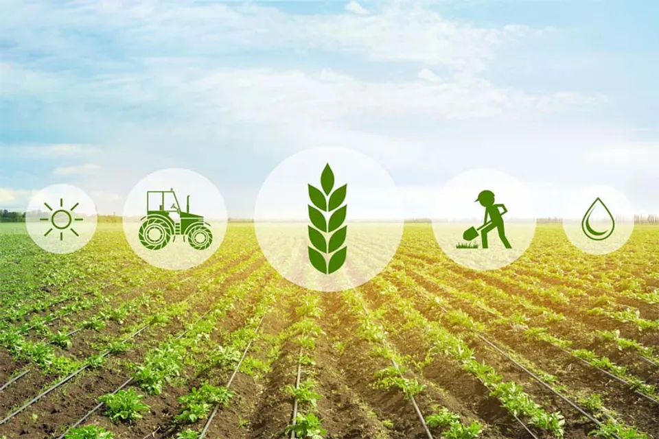 Union Budget 2022: FM Sitharaman announces support for Agritech startups, Natural farming, Push for 'Kisan Drones'