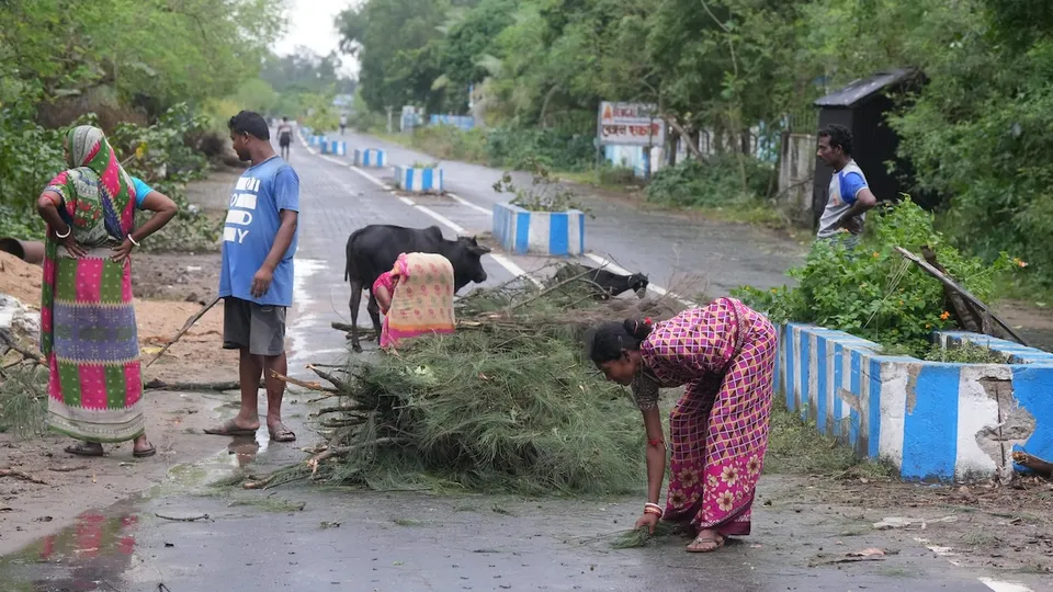 People remove uprooted trees from a road at Digha in the aftermath of Cyclone Dana, in Purba Medinipur district, West Bengal, Friday, Oct. 25, 2024.