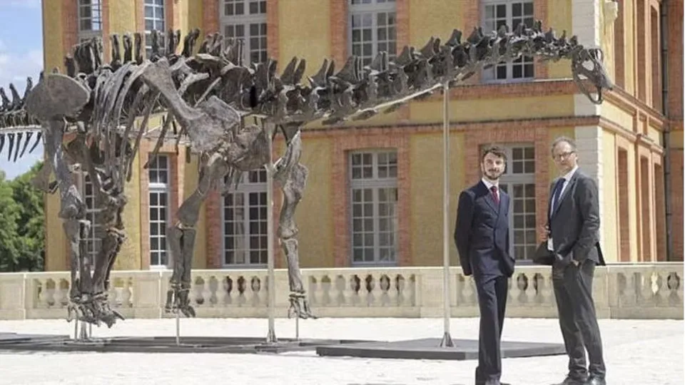 'Vulcain', an Apatosaurus dinosaur skeleton, formerly known as a Brontosaurus, on display at Château de Dampierre-en-Yvelines, outside Paris 