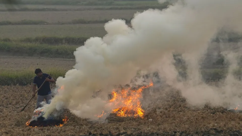 A farmer burns stubble near Palwal, Haryana