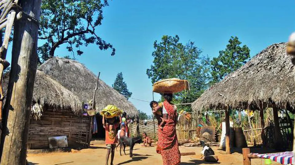 GottiKoya Tribe