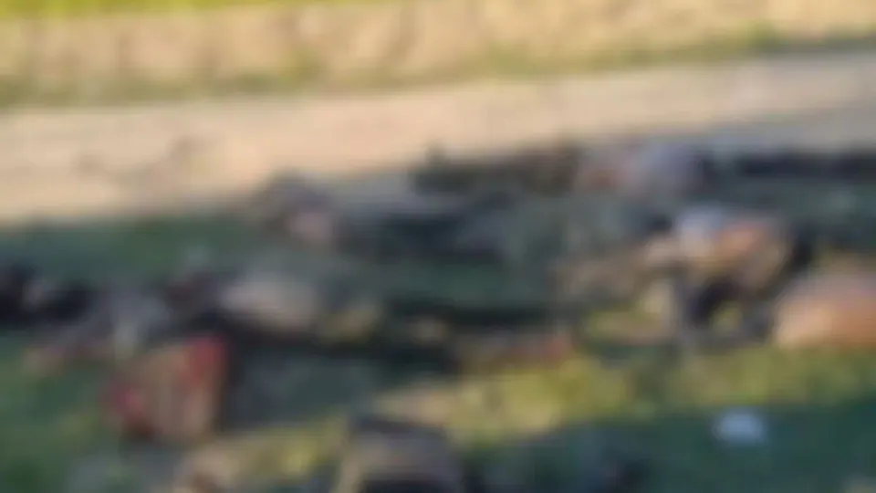 Manipur Jiribam Militants Killing