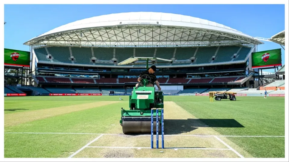 Adelaide pitch