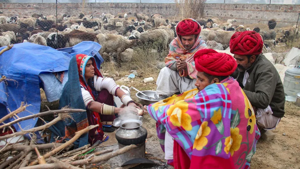 Rajasthan Weather Rajasthan Winters Rajasthan Cold Fatehpur